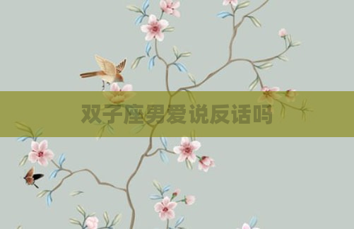 双子座男爱说反话吗