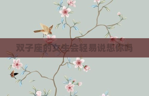 双子座的女生会轻易说想你吗