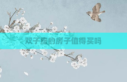 双子座的房子值得买吗