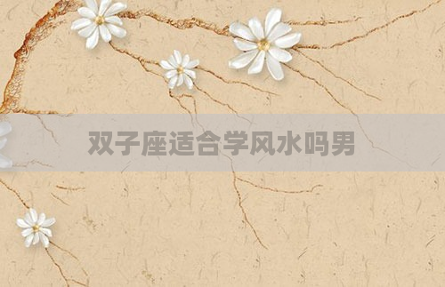 双子座适合学风水吗男
