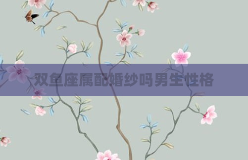 双鱼座属配婚纱吗男生性格