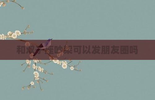 和双子座吵架可以发朋友圈吗