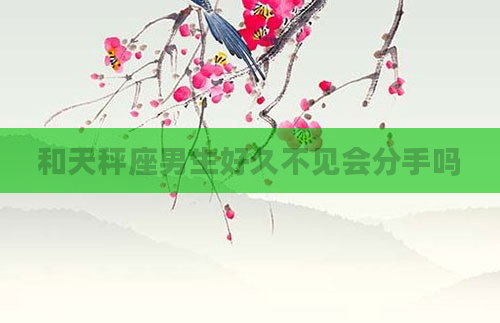 和天秤座男生好久不见会分手吗