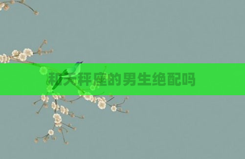 和天秤座的男生绝配吗