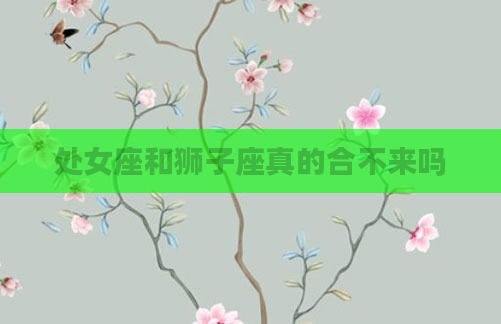 处女座和狮子座真的合不来吗