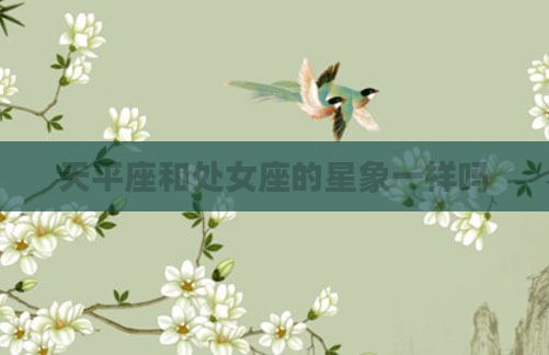 天平座和处女座的星象一样吗