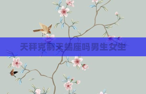 天秤克制天蝎座吗男生女生