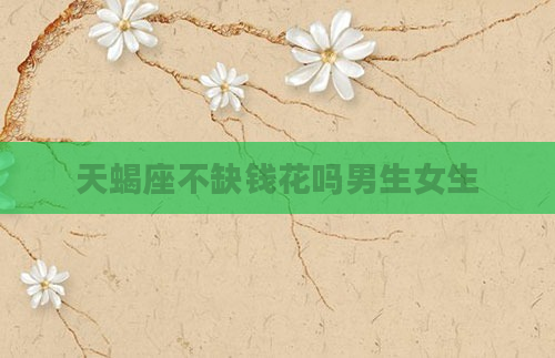 天蝎座不缺钱花吗男生女生