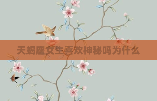 天蝎座女生喜欢神秘吗为什么