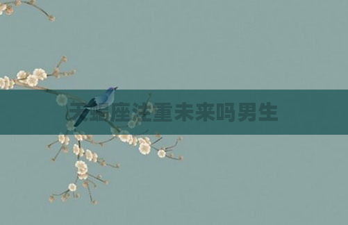 天蝎座注重未来吗男生