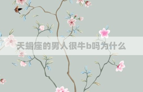 天蝎座的男人很牛b吗为什么