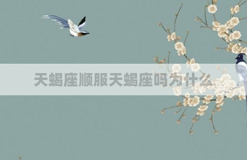 天蝎座顺服天蝎座吗为什么