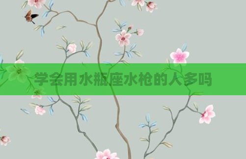 学会用水瓶座水枪的人多吗