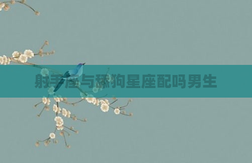 射手座与舔狗星座配吗男生