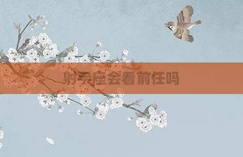 射手座会看前任吗