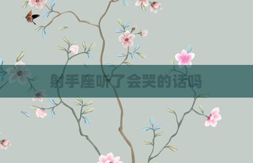 射手座听了会哭的话吗