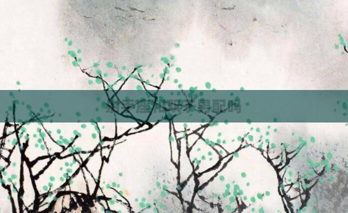 射手座和双子男配吗