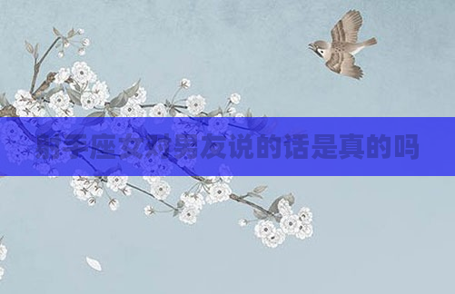 射手座女对男友说的话是真的吗