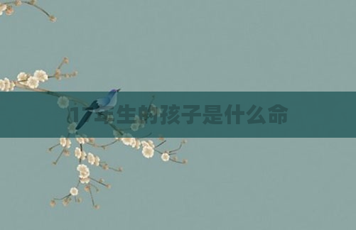 17年生的孩子是什么命
