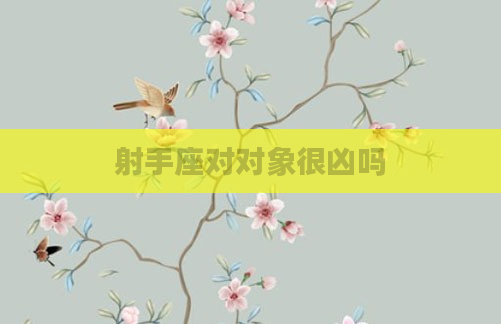 射手座对对象很凶吗