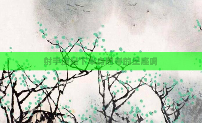 射手座是下半身思考的星座吗