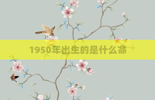 1950年出生的是什么命