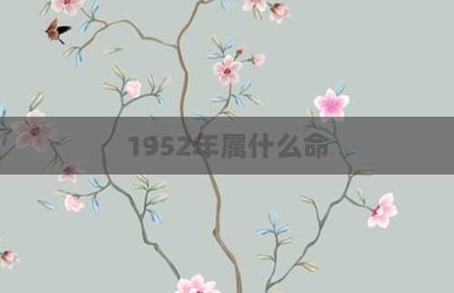 1952年属什么命