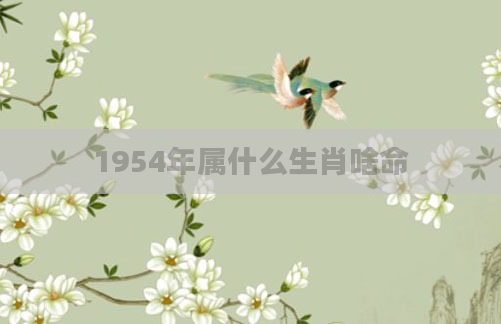 1954年属什么生肖啥命