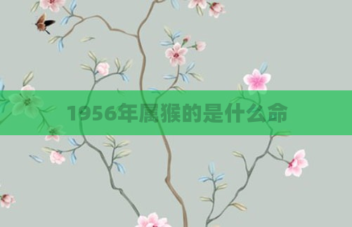 1956年属猴的是什么命