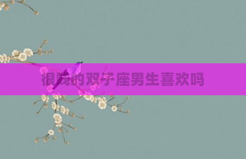很贱的双子座男生喜欢吗