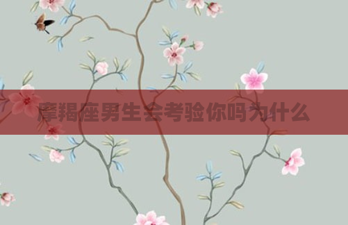 摩羯座男生会考验你吗为什么