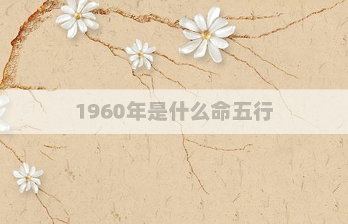1960年是什么命五行
