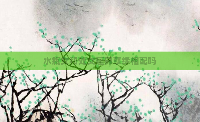 水瓶女和处女座男孽缘相配吗