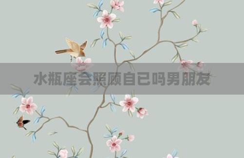 水瓶座会照顾自已吗男朋友