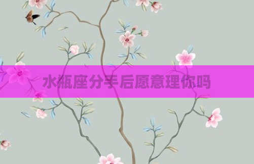 水瓶座分手后愿意理你吗
