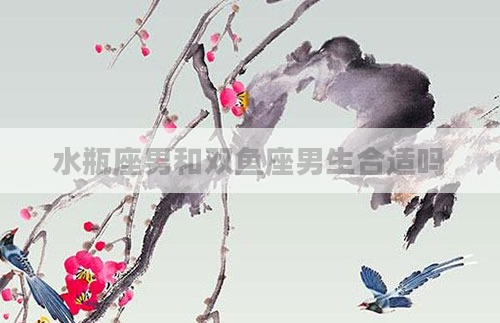 水瓶座男和双鱼座男生合适吗