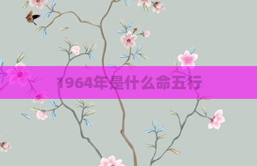 1964年是什么命五行
