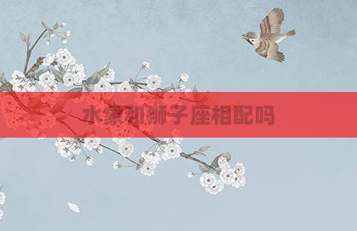 水象和狮子座相配吗