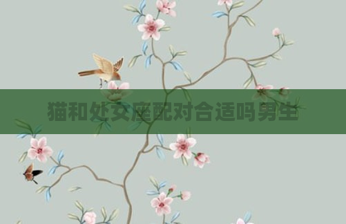 猫和处女座配对合适吗男生