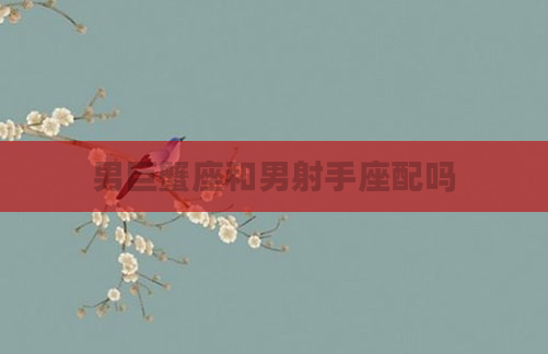 男巨蟹座和男射手座配吗