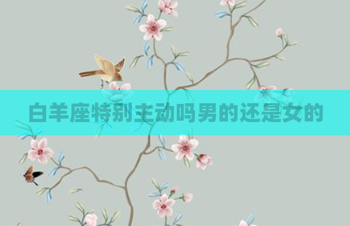白羊座特别主动吗男的还是女的