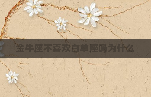 金牛座不喜欢白羊座吗为什么