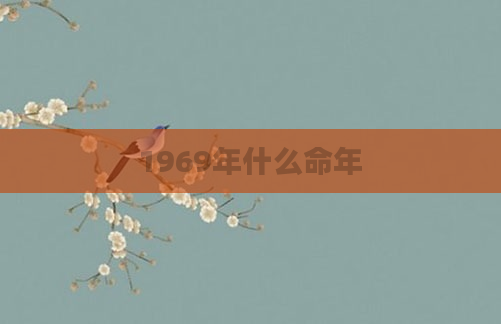 1969年什么命年