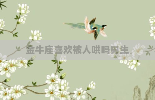 金牛座喜欢被人哄吗男生