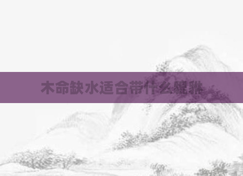 木命缺水适合带什么貔貅