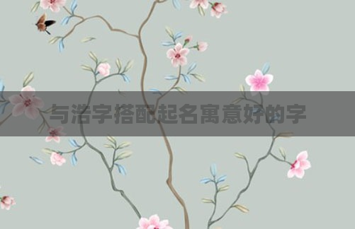 与浩字搭配起名寓意好的字