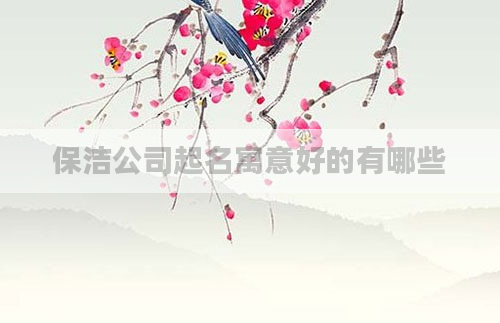 保洁公司起名寓意好的有哪些
