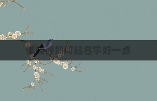 做媒婆如何起名字好一点