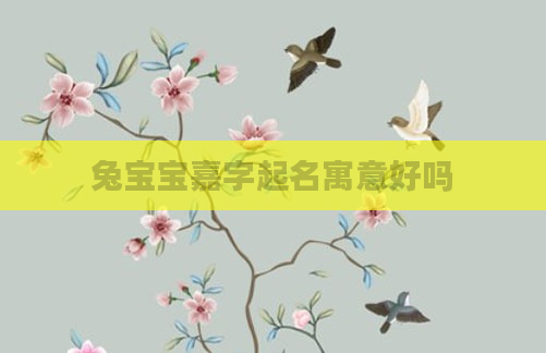 兔宝宝嘉字起名寓意好吗
