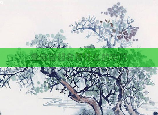 兔宝宝起名带什么的字好